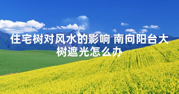 住宅树对风水的影响 南向阳台大树遮光怎么办